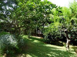 Hotel Villa Noelia 4*